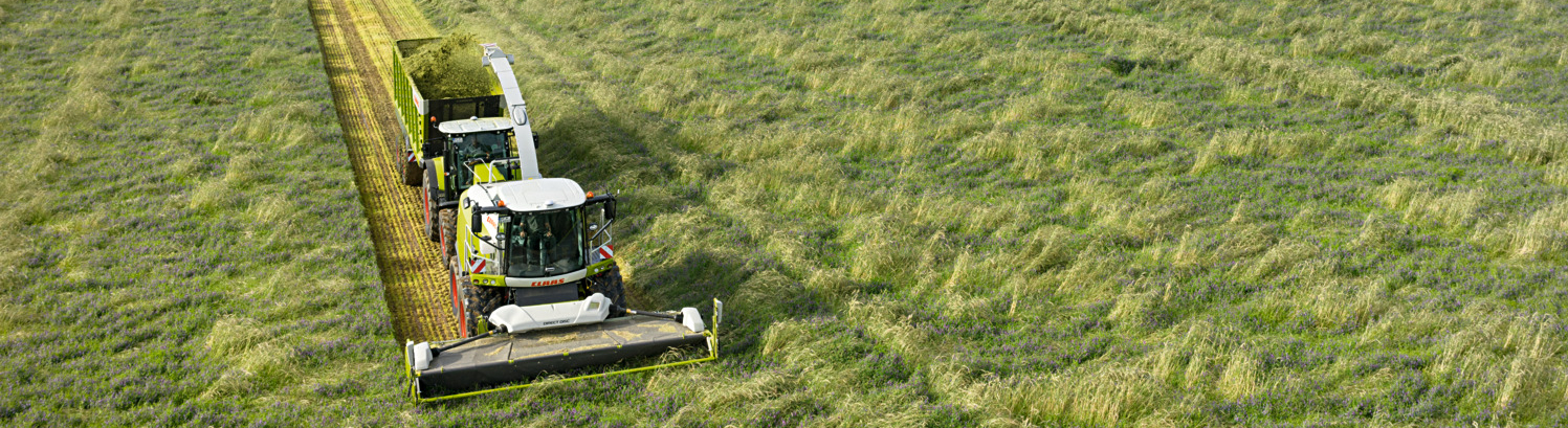 Combine harvester in a field